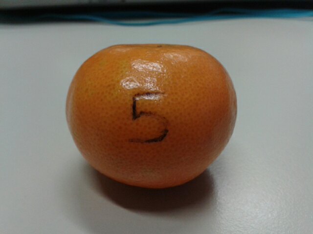 wp-image--1698277788