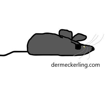 7 – 1, 2, 3 – Freddy kommt&nbsp;vorbei